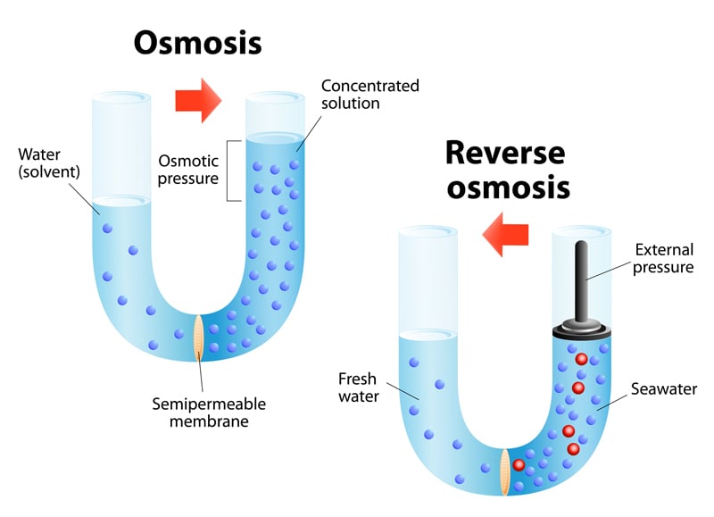 Osmosis de agua de ósmosis inversa de cultivo de plantas de cannabis