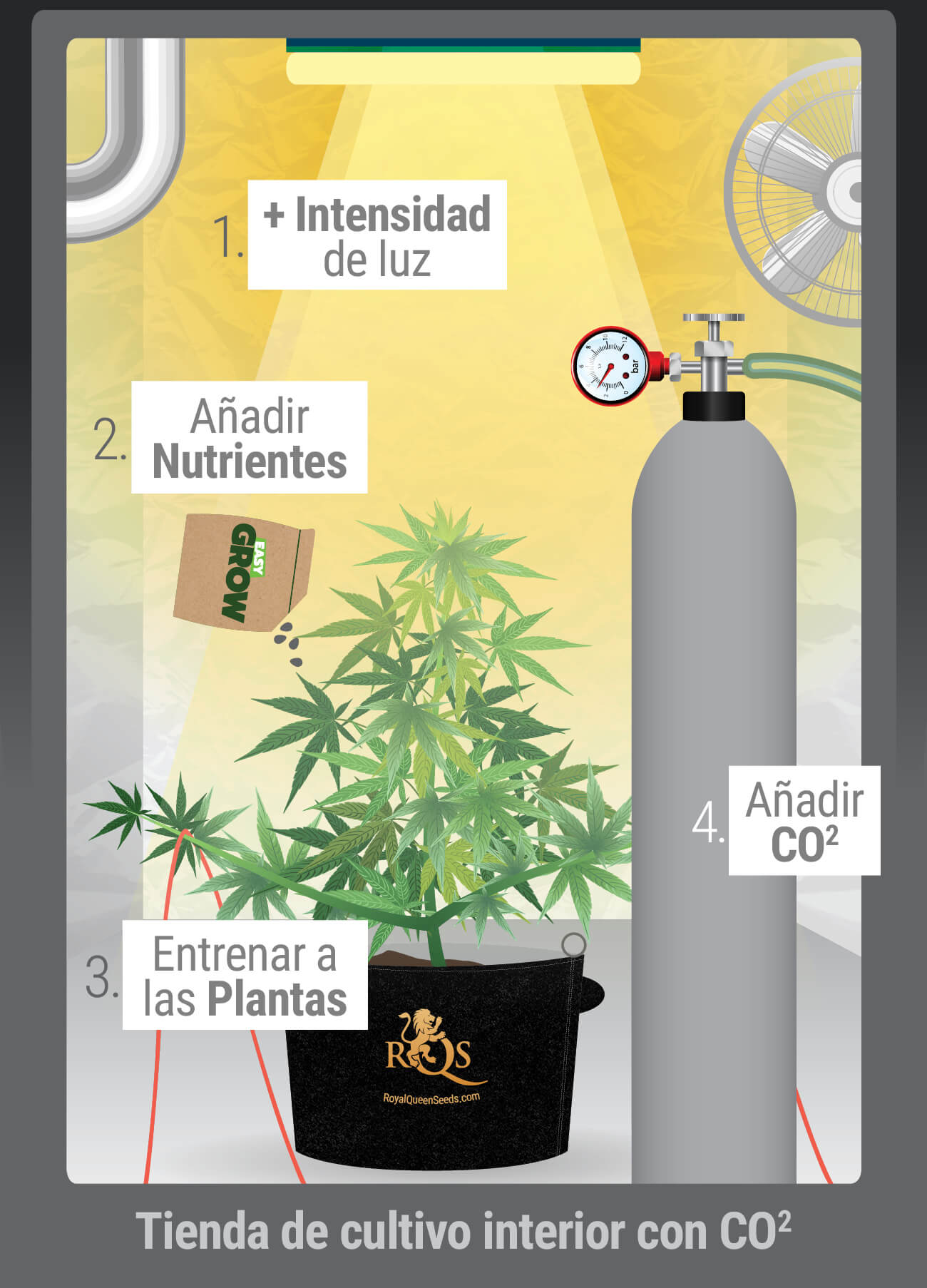 ¿Cuándo deberías usar CO₂?