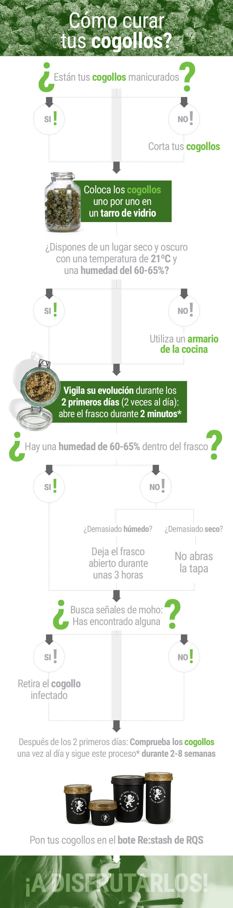 Cómo curar tus cogollos Cómo curar tus cogollos