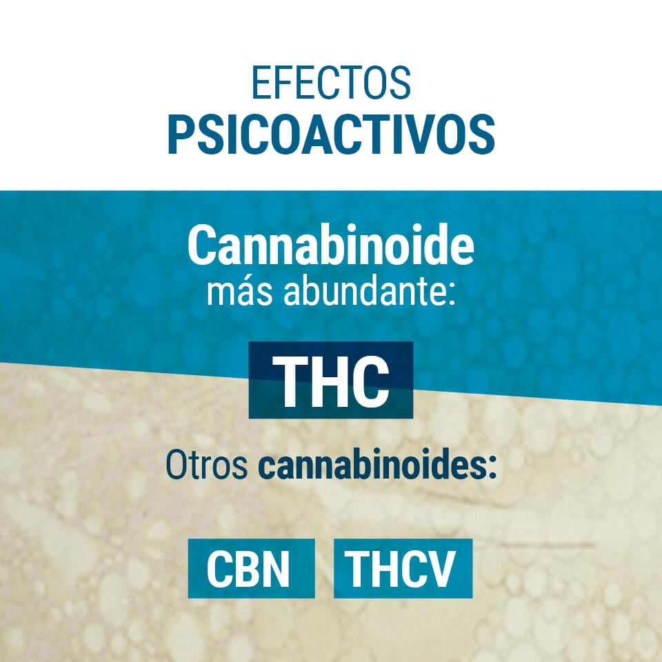 Efectos Psicoactivos del TCH