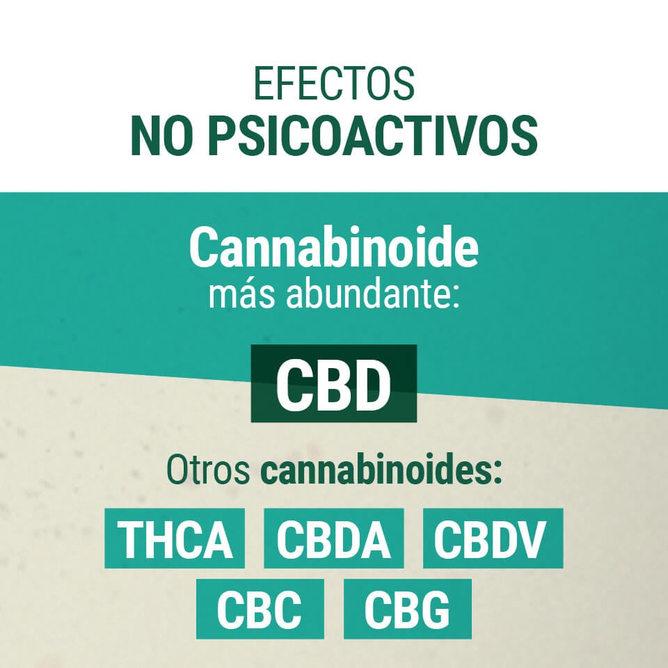 Efectos no Psicoactivos del CBD