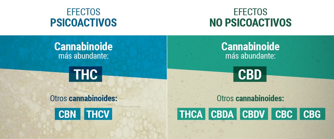 Efectos Psicoactivos y no Psicoactivos 