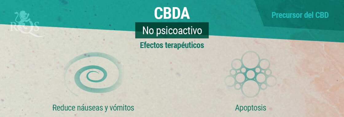 Efectos Terapéuticos del CBDA