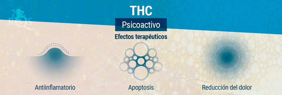 Efectos Terapéuticos del THC 