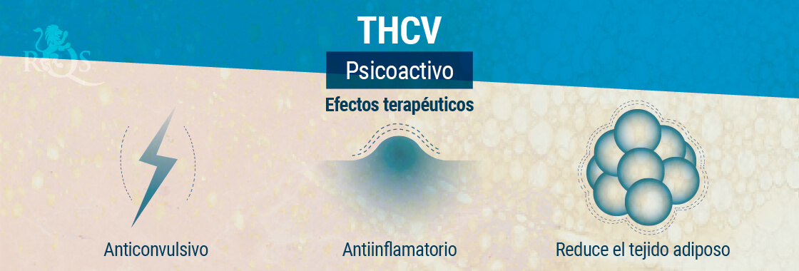 Efectos Terapéuticos del THCV
