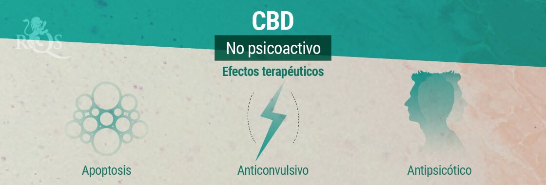 Efectos Terapéuticos del CBD 