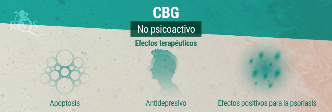 Efectos Terapéuticos del CBG 