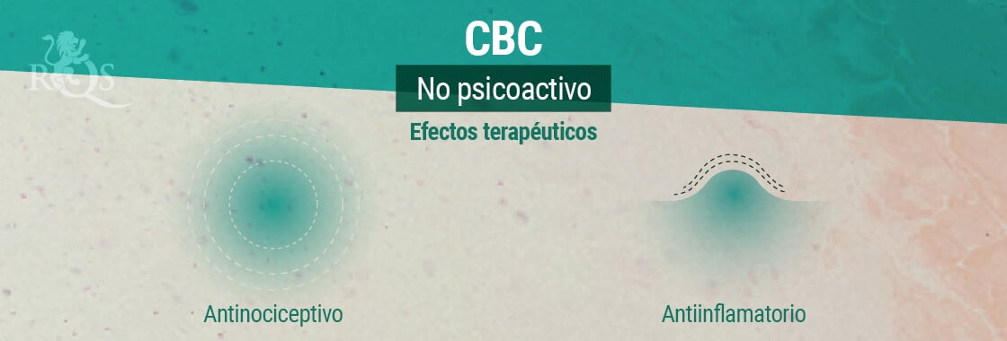 Efectos Terapéuticos del CBC