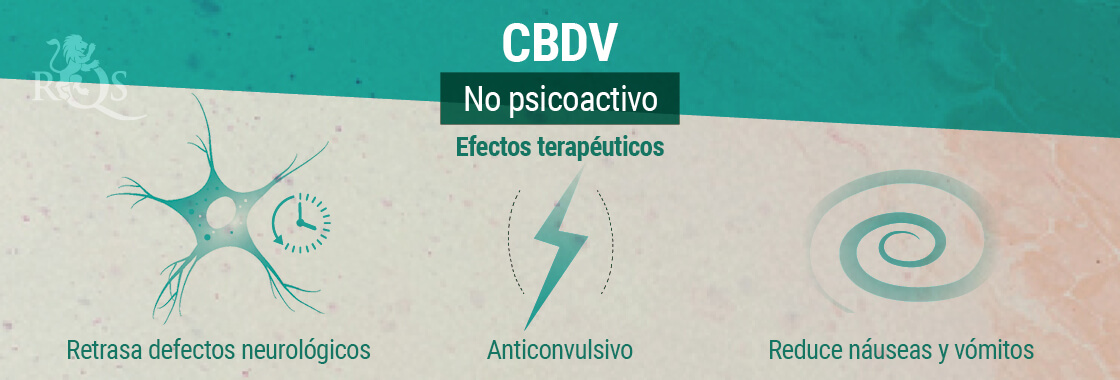 Efectos Terapéuticos del CBDV