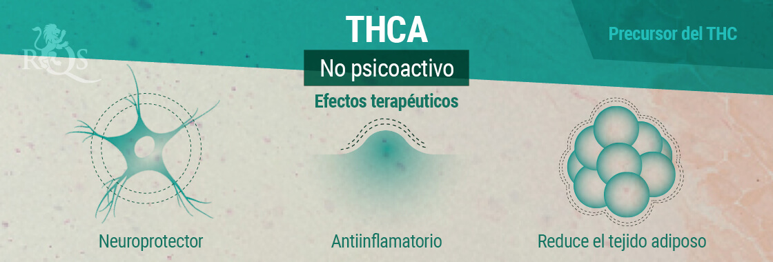 Efectos Terapéuticos del THCA