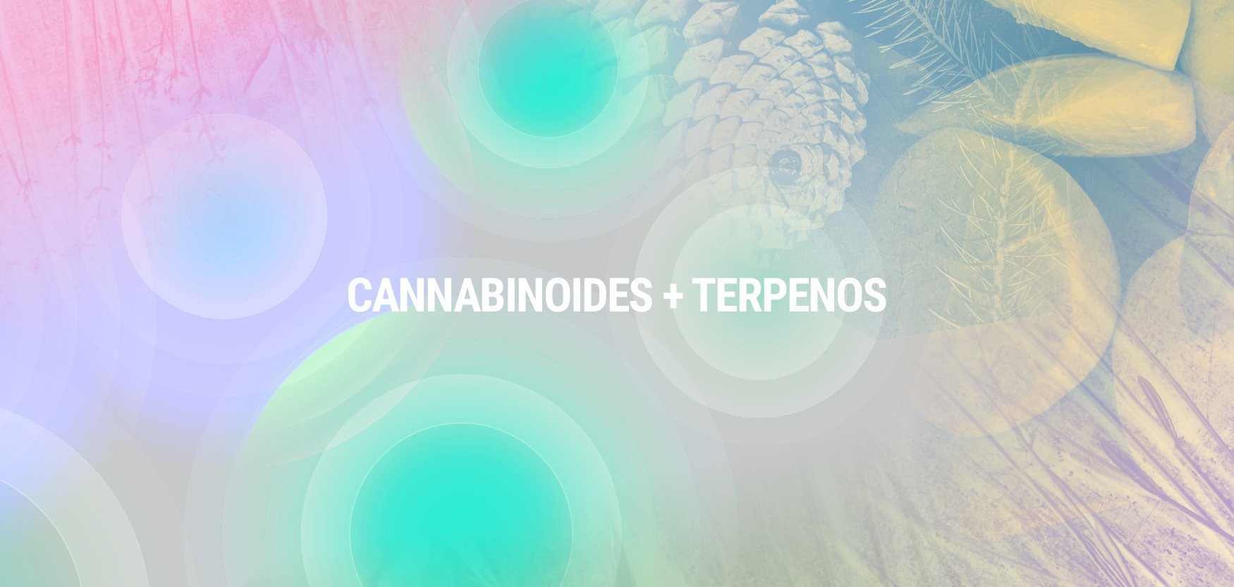 Cannabinoides + Terpenos