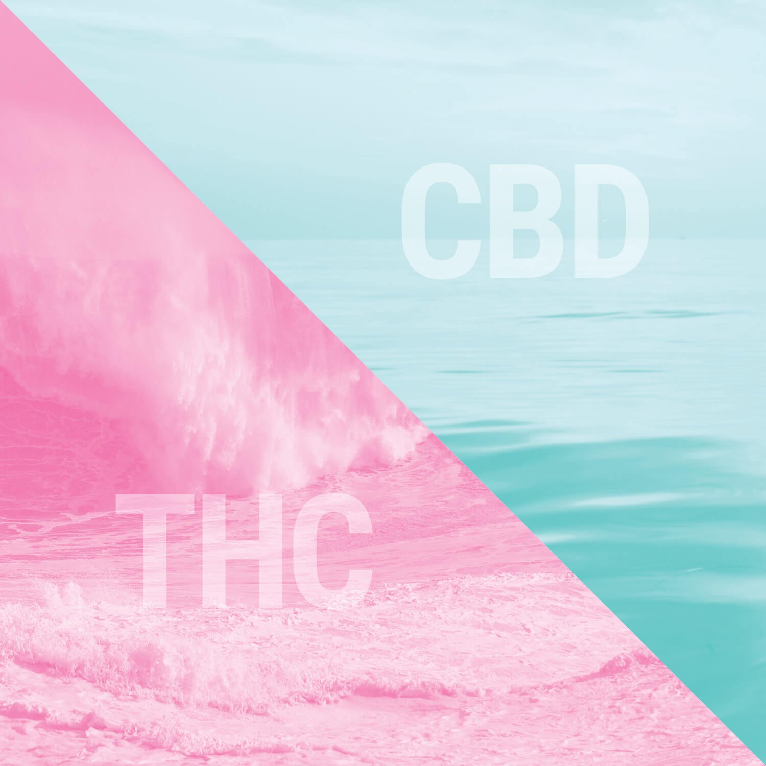 THC y CBD