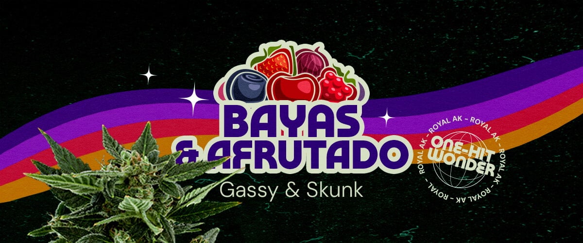 Perfil de Sabor y Aroma de la Cepa Royal AK Cannabis Una ilustración de un cogollo de cannabis con el texto