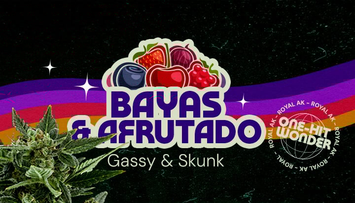 Perfil de Sabor y Aroma de la Cepa Royal AK Cannabis Una ilustración de un cogollo de cannabis con el texto