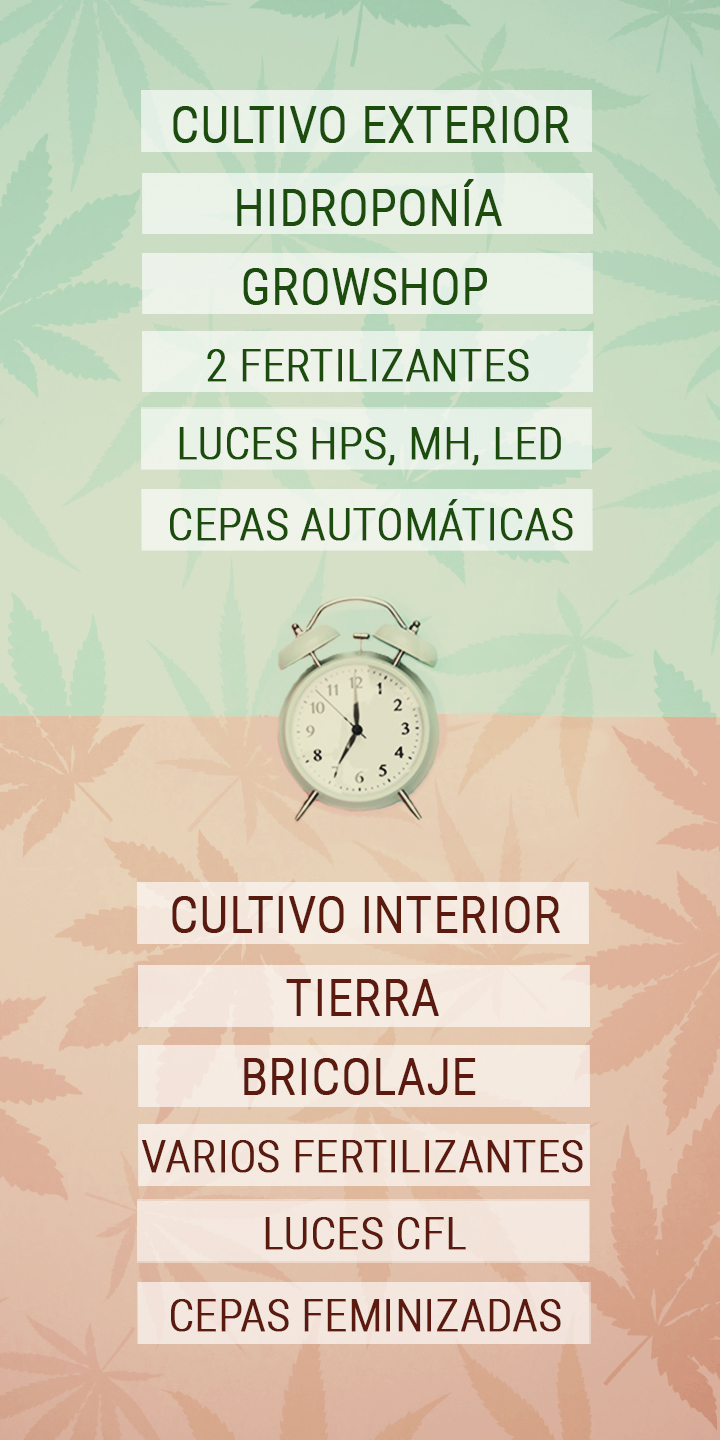 Trucos que ahorran tiempo al cultivador de cannabis con una agenda apretada Trucos que ahorran tiempo al cultivador de cannabis con una agenda apretada