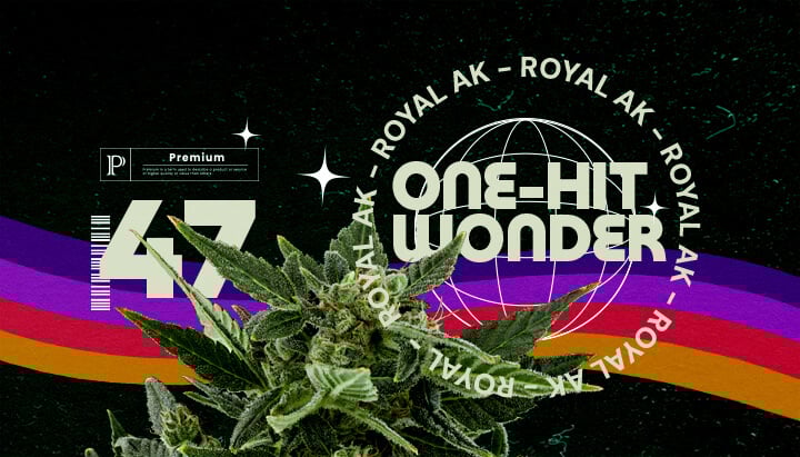 Información sobre la Cepa Royal AK Guía de Cannabis Una ilustración de un cogollo de cannabis con el texto