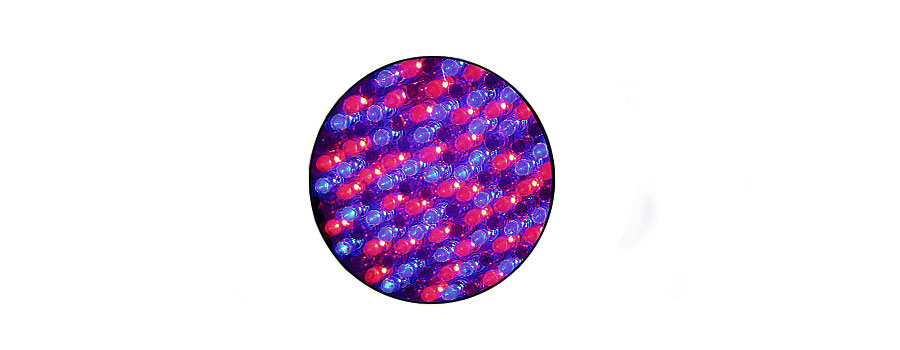 LED ESTÁNDAR (
