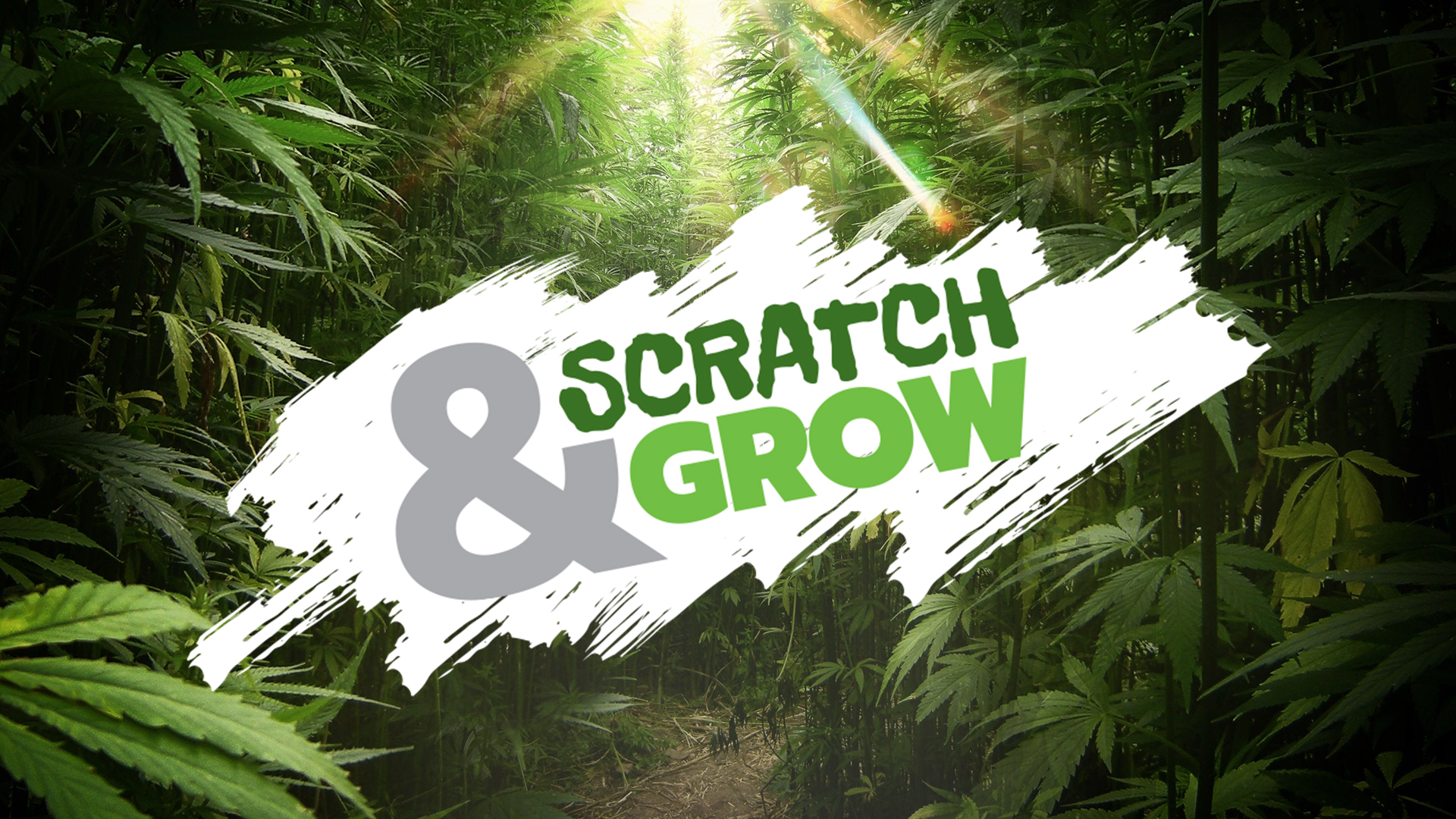 Scratch Card Scratch Card