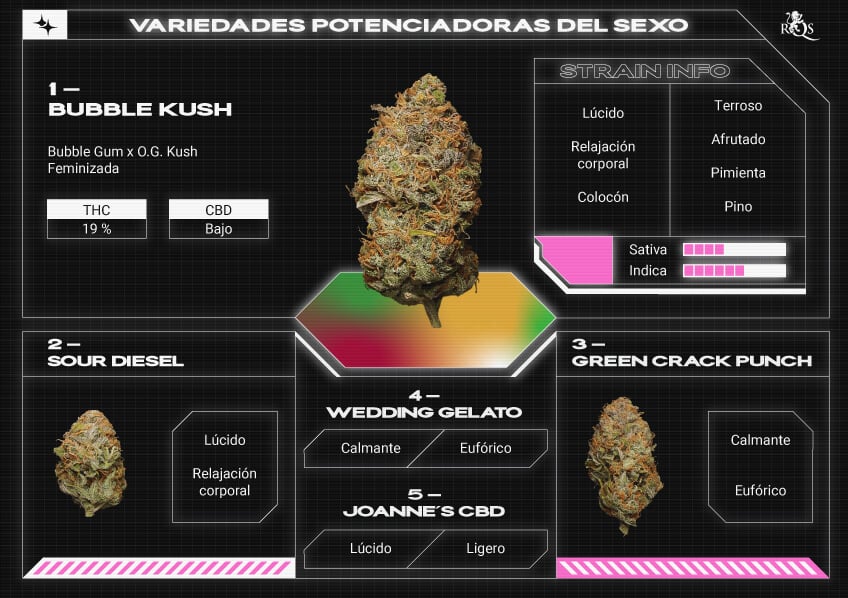 Qué variedad de marihuana deberías fumar? - RQS Blog