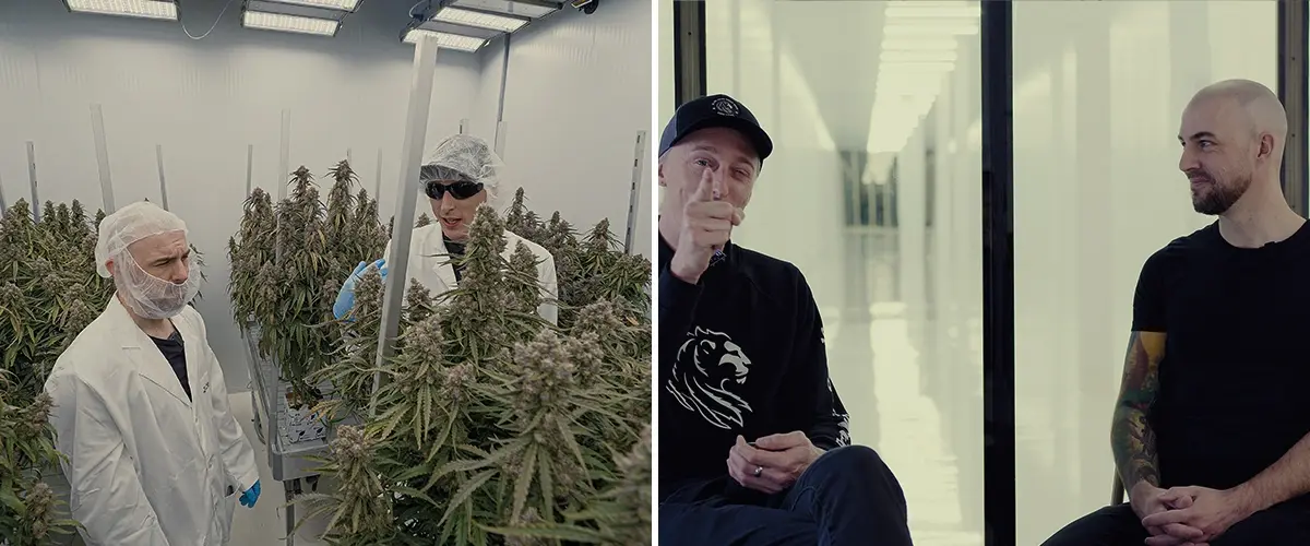 Simon CRIC Labs Rol de Investigación de Cannabis Guía Una ilustración de Simon de CRIC Labs discutiendo su rol de investigación con Max, en un espacio de cultivo interior de alta tecnología con plantas de cannabis, herramientas de recolección de datos y plataformas de software, sobre un fondo verde.