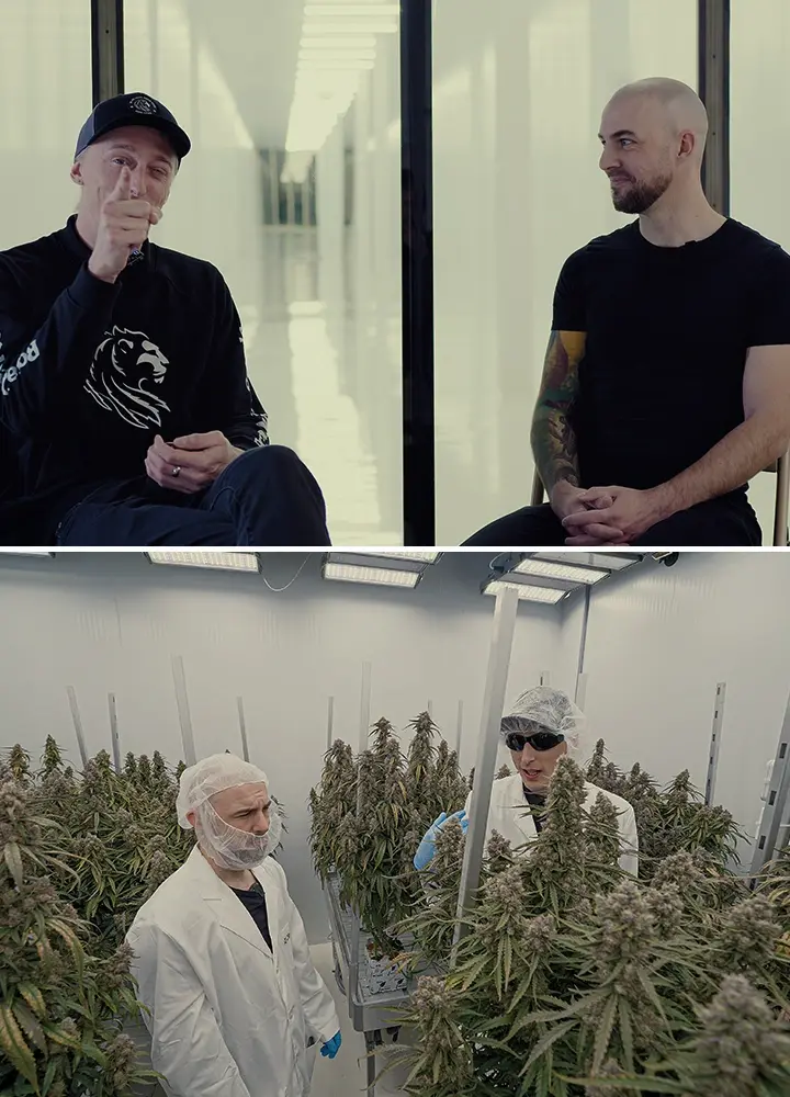 Simon CRIC Labs Rol de Investigación de Cannabis Guía Una ilustración de Simon de CRIC Labs discutiendo su rol de investigación con Max, en un espacio de cultivo interior de alta tecnología con plantas de cannabis, herramientas de recolección de datos y plataformas de software, sobre un fondo verde.