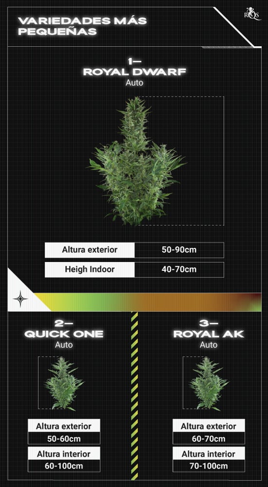 Top RQS Small Plants