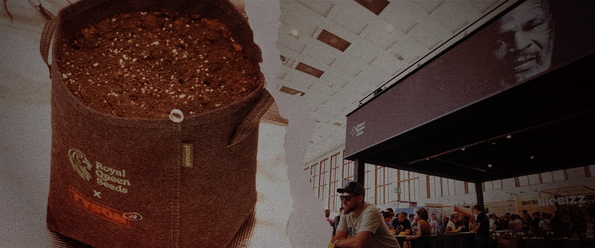 Sembrando el futuro – Maceta de cultivo Royal Queen Seeds x Tyson 2.0 en feria cannábica Maceta de tela con tierra de la colaboración Royal Queen Seeds x Tyson 2.0, junto a un concurrido stand en una feria de cannabis con la imagen de Mike Tyson de fondo.