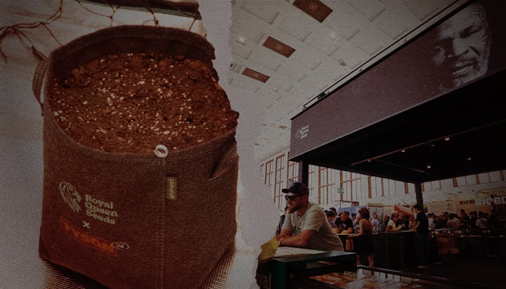 Sembrando el futuro – Maceta de cultivo Royal Queen Seeds x Tyson 2.0 en feria cannábica Maceta de tela con tierra de la colaboración Royal Queen Seeds x Tyson 2.0, junto a un concurrido stand en una feria de cannabis con la imagen de Mike Tyson de fondo.