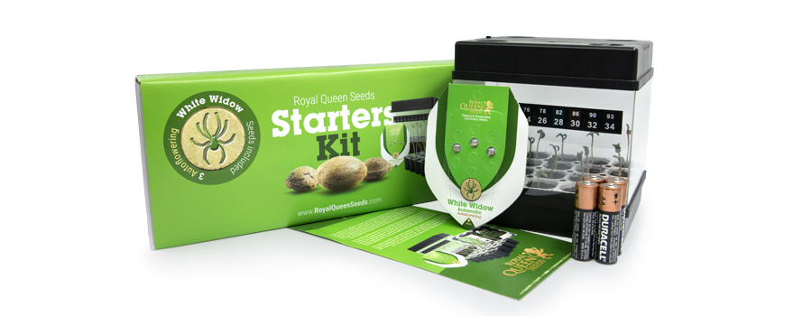 Starter Kit Autoflorecente Royal Queen Seeds