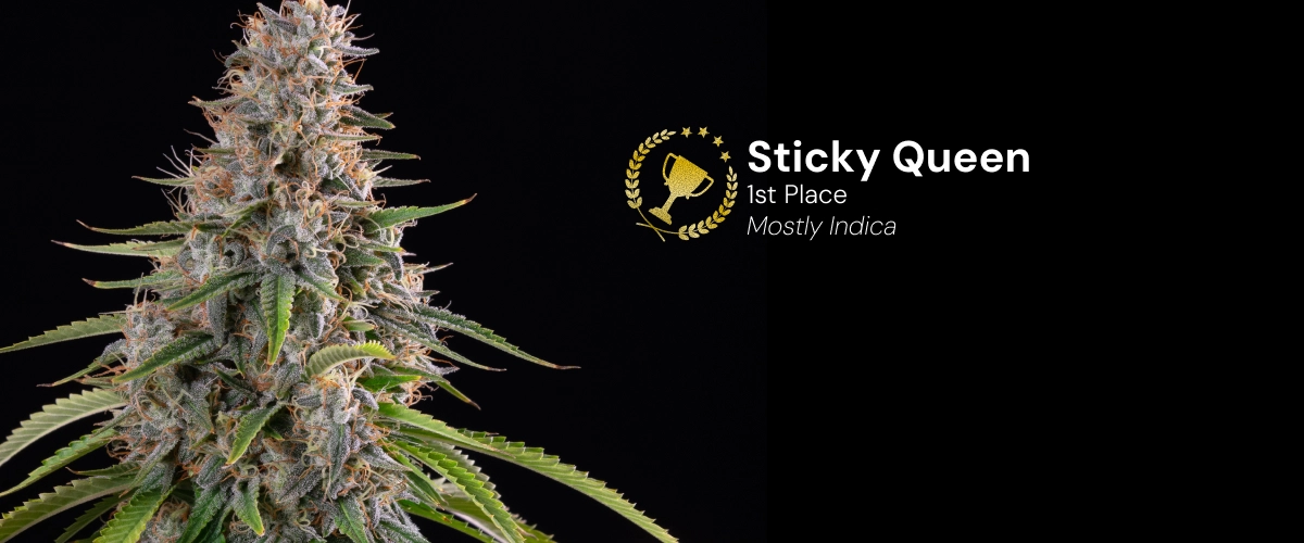 Sticky Queen, variedad de cannabis premiada Descubre Sticky Queen, una variedad de cannabis principalmente índica y premiada, con cogollos densos y resinosos.