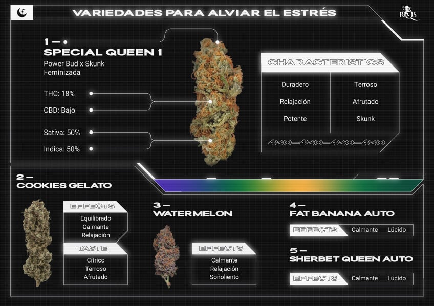 Qué variedad de marihuana deberías fumar? - RQS Blog