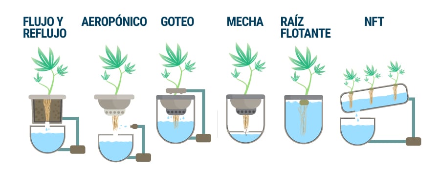 Tipos De Sistemas Hidropónicos