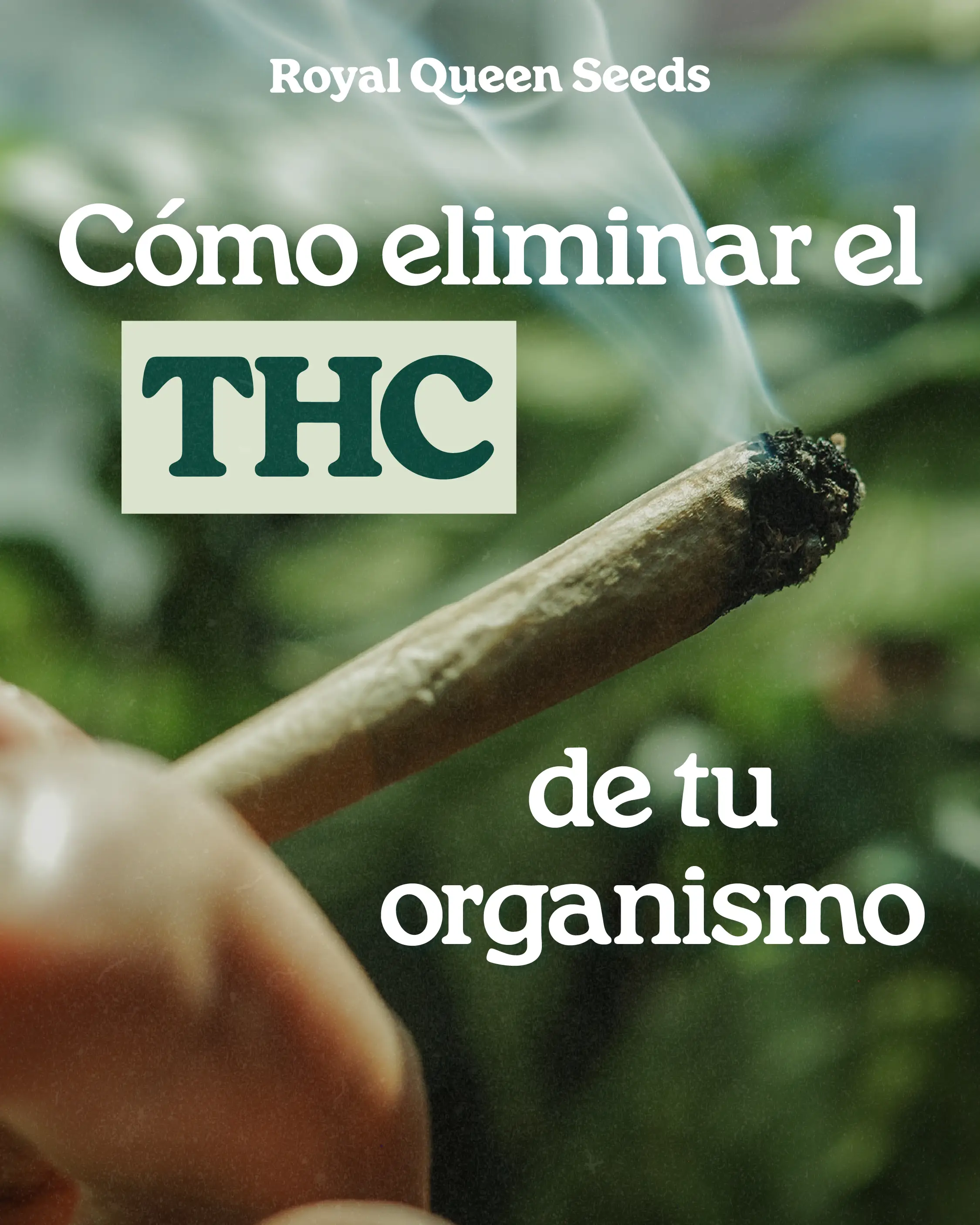eliminar THC