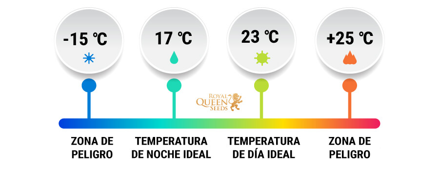 LA TEMPERATURA DESEMPEÑA UN PAPEL FUNDAMENTAL EN LA GERMINACIÓN LA TEMPERATURA DESEMPEÑA UN PAPEL FUNDAMENTAL EN LA GERMINACIÓN