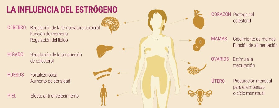 a influencia del estrógeno y el cannabis a influencia del estrógeno y el cannabis