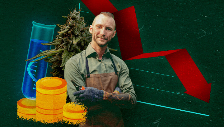 Impacto Económico en Cultivadores de Cannabis Cultivador de cannabis con tubo de ensayo, monedas y gráfico rojo descendente en fondo verde, mostrando impacto económico.
