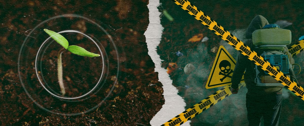 La Urgente Necesidad de Fungicidas Orgánicos: Protegiendo Nuestra Alimentación y la Salud del Suelo El contraste entre el crecimiento sano de las plantas y los peligros de los fungicidas sintéticos en la agricultura moderna, destacando la necesidad de alternativas orgánicas.