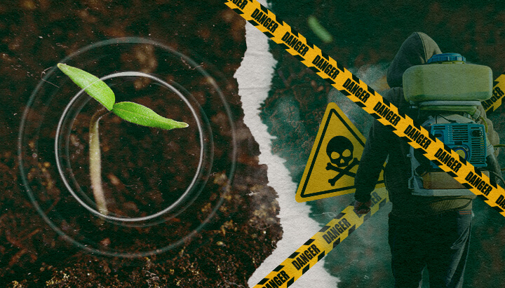 La Urgente Necesidad de Fungicidas Orgánicos: Protegiendo Nuestra Alimentación y la Salud del Suelo El contraste entre el crecimiento sano de las plantas y los peligros de los fungicidas sintéticos en la agricultura moderna, destacando la necesidad de alternativas orgánicas.