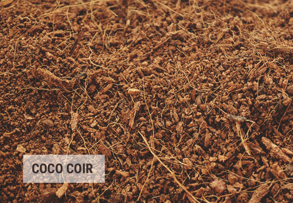 Consejos para reutilizar la fibra de coco Consejos para reutilizar la fibra de coco