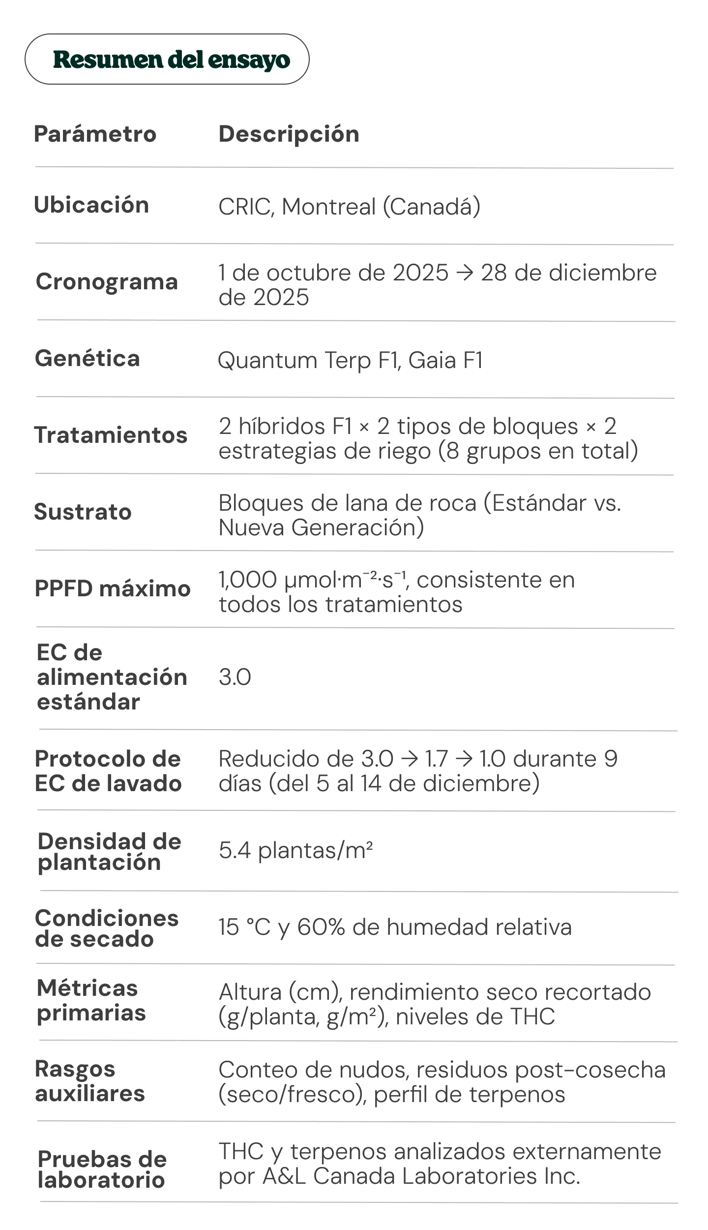 Resumen del ensayo de cannabis: diseño experimental y parámetros clave