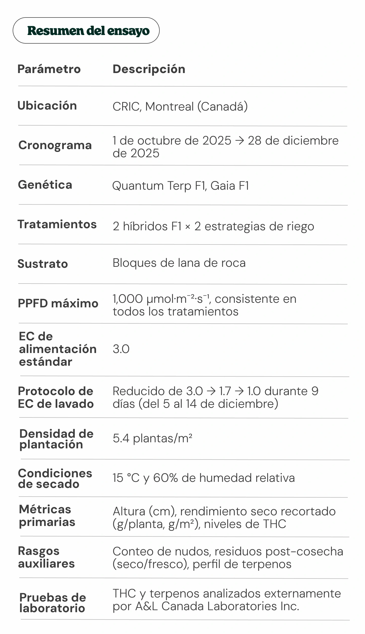 Resumen del ensayo de cannabis: diseño experimental y parámetros clave