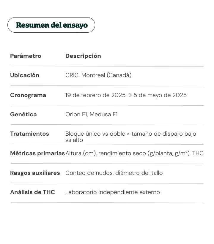 Resumen del ensayo de cannabis en CRIC: ubicación, fechas y metodología Tabla resumen del ensayo con ubicación en CRIC, fechas, genéticas de cannabis, tratamientos y métricas analizadas