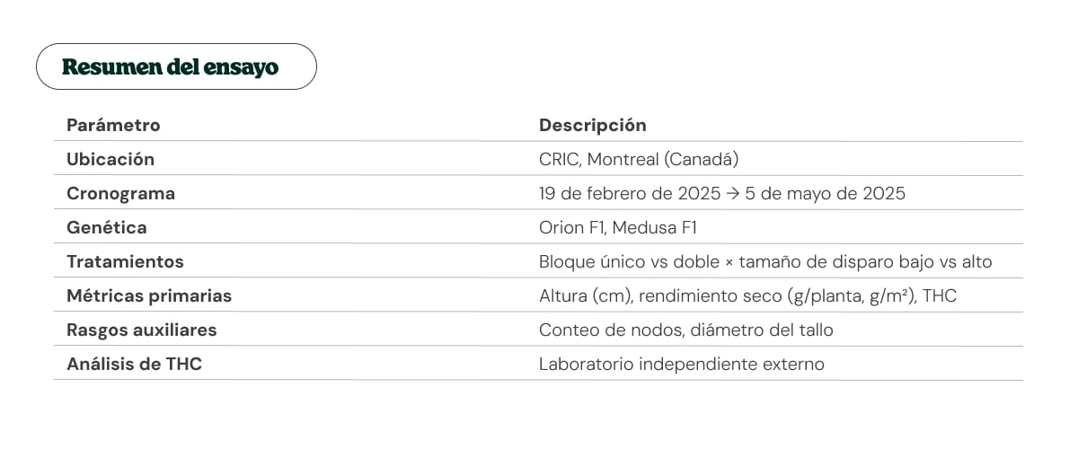 Resumen del ensayo de cannabis en CRIC: ubicación, fechas y metodología Tabla resumen del ensayo con ubicación en CRIC, fechas, genéticas de cannabis, tratamientos y métricas analizadas