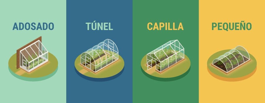 Cómo montar un invernadero para plantar cannabis