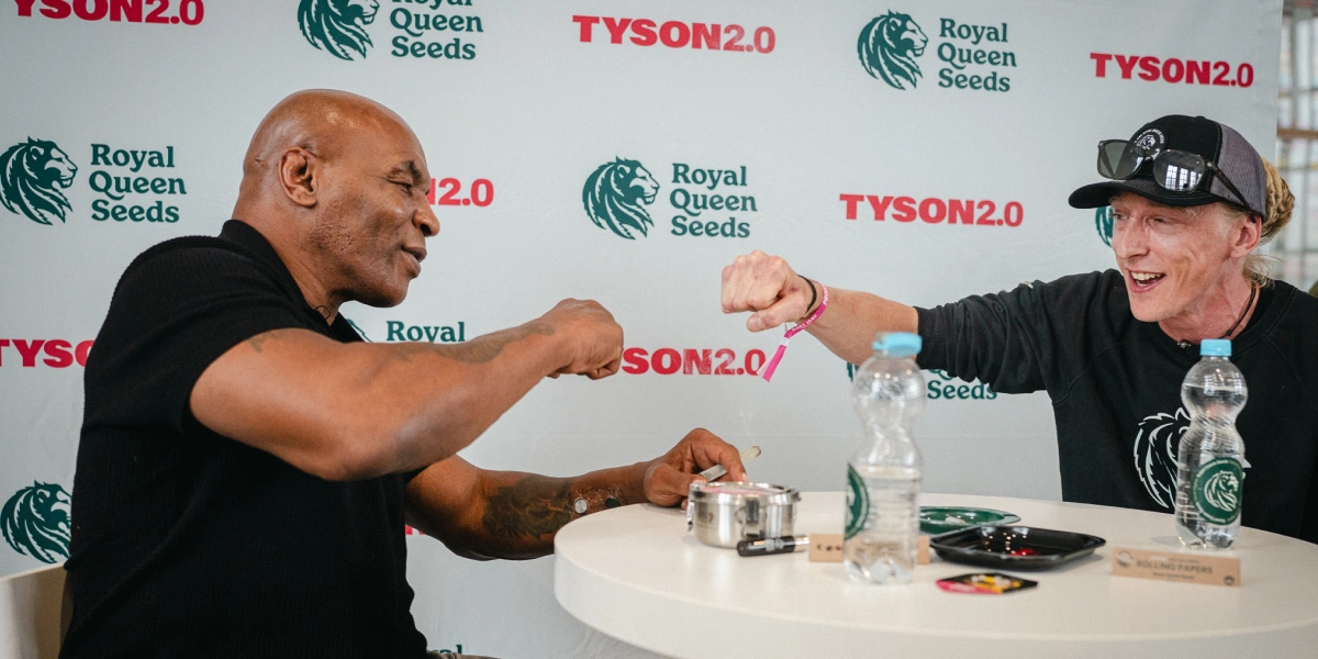 Mike Tyson habla sobre la cultura del cannabis con Max Majot Descubre a Mike Tyson y al maestro cultivador Max Majot hablando sobre la cultura del cannabis en Europa, las variedades destacadas y lo que más importa a los cultivadores.
