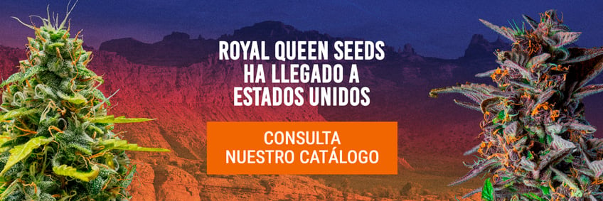 Royal Queen Seeds USA