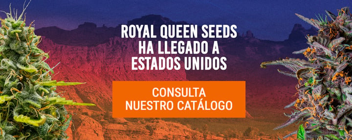 Royal Queen Seeds USA