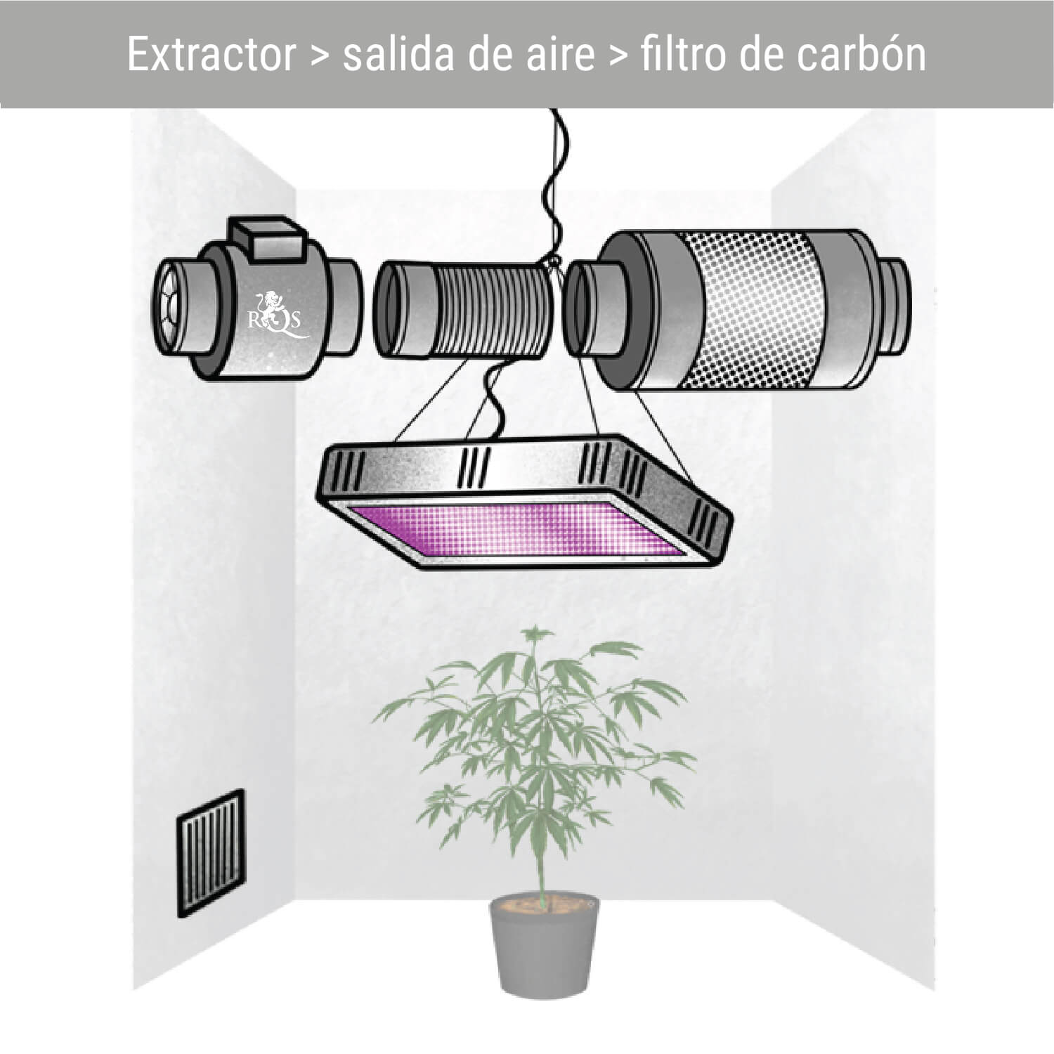 Extractor > salida de aire > filtro de carbón