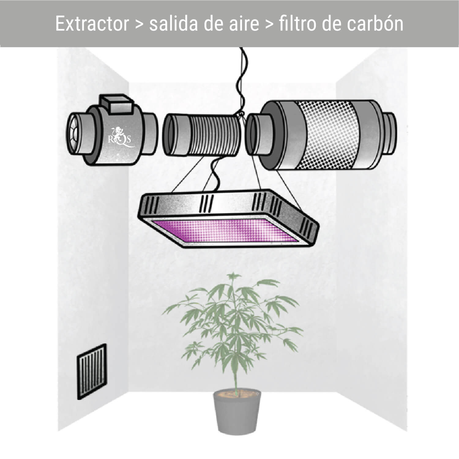 Extractor > salida de aire > filtro de carbón Extractor > salida de aire > filtro de carbón