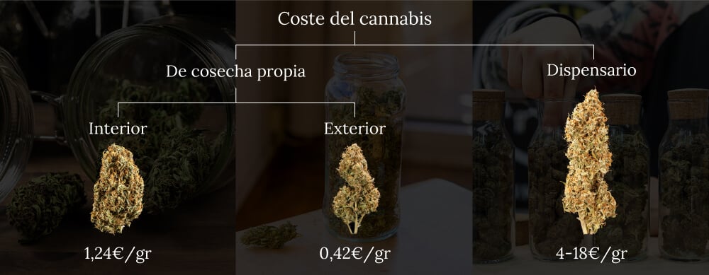 Weed cost homegrown